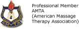 Professional Member, AMTA